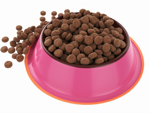Cat food bowl pink with print 3D Model