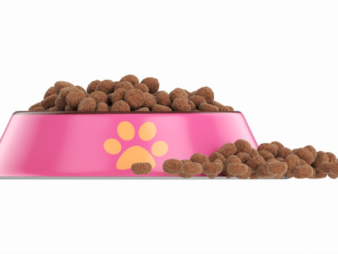 Cat food bowl pink with print 3D Model