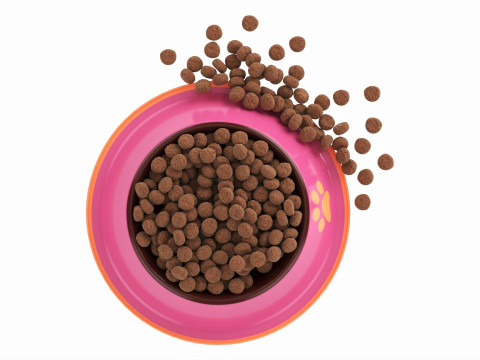 Cat food bowl pink with print 3D Model