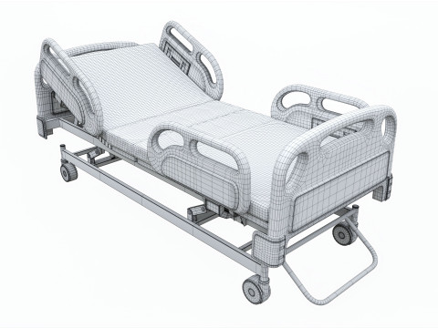 Medical Adjustable Five Functions Hospital Bed with Matress 3D Model