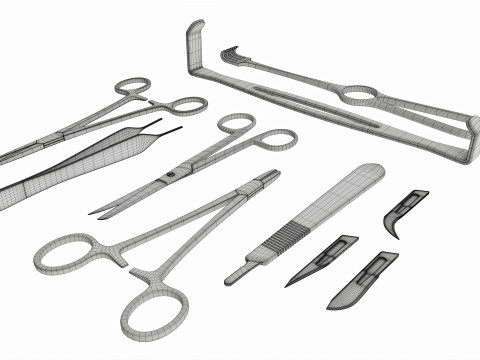Set of 7 Surgical Instruments 3D Модель