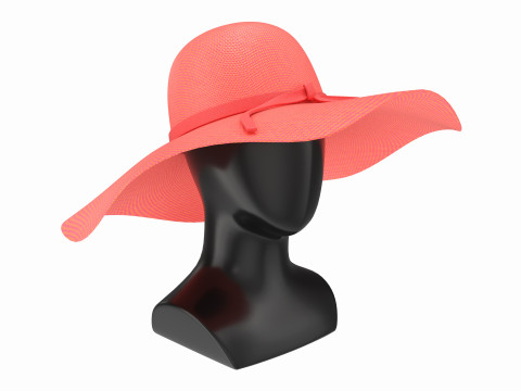 Store display mannequin head with Floppy hat 3D 모델