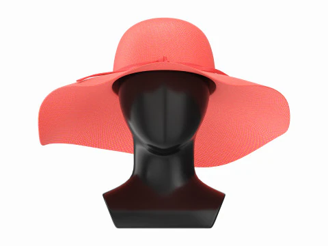 Store display mannequin head with Floppy hat 3D Model