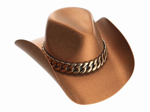 Woman cowboy metallic hat with curved brims 3D Model