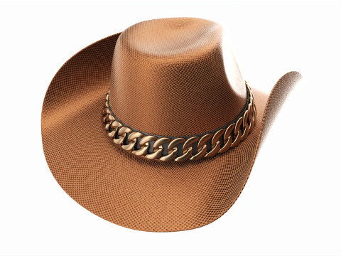 Woman cowboy metallic hat with curved brims 3D Model