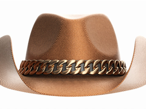 Woman cowboy metallic hat with curved brims 3D Model