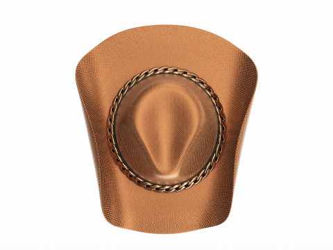 Woman cowboy metallic hat with curved brims 3D Model