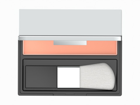 Blushing Powder 3D Model