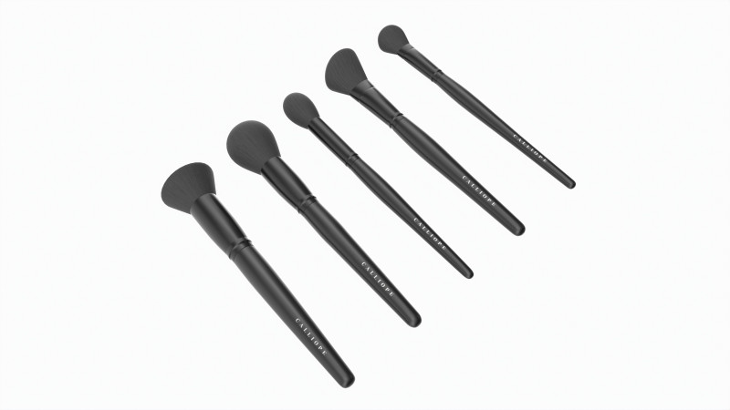 Face Brush Collection 5 Piece Model 3D .c4d .max .obj .3ds .fbx .stl .blend 