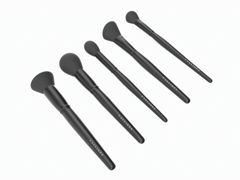 Face Brush Collection 5 Piece 3D Model