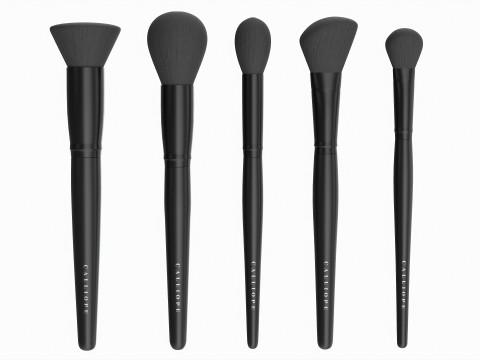 Face Brush Collection 5 Piece Model 3D