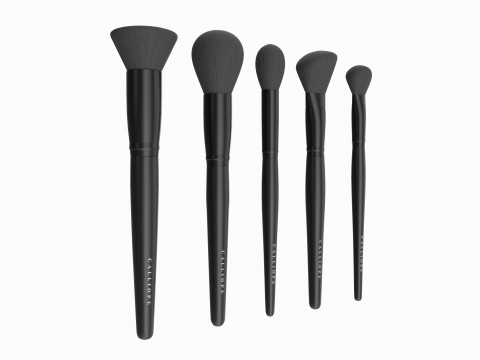 Face Brush Collection 5 Piece Model 3D