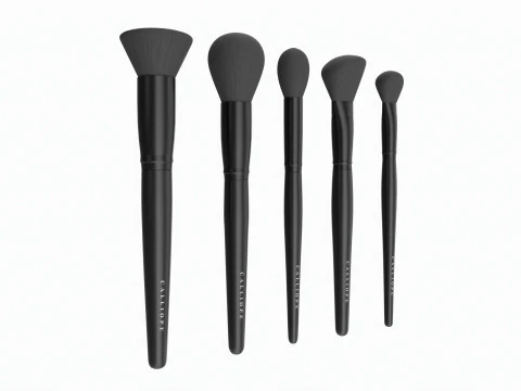 Face Brush Collection 5 Piece 3D Model