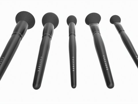 Face Brush Collection 5 Piece Model 3D