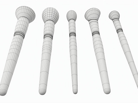 Face Brush Collection 5 Piece Model 3D