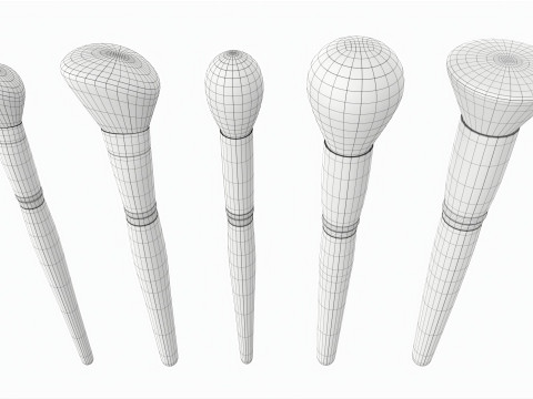 Face Brush Collection 5 Piece Model 3D