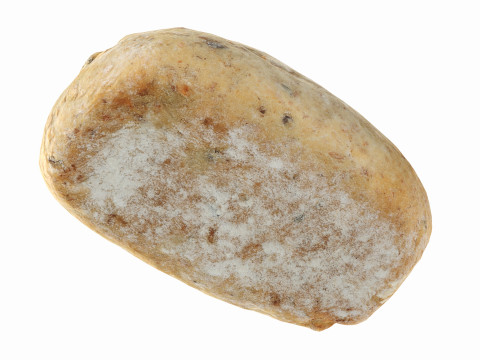Breakfast bread 01 Model 3D