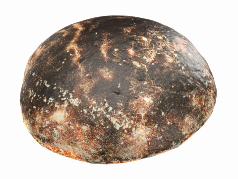 Grey bread 01 3D Model