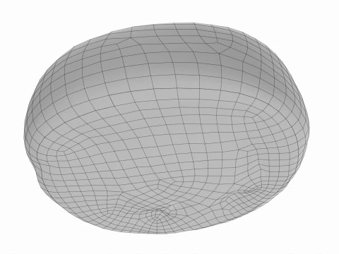 Panino all'uvetta Modello 3D