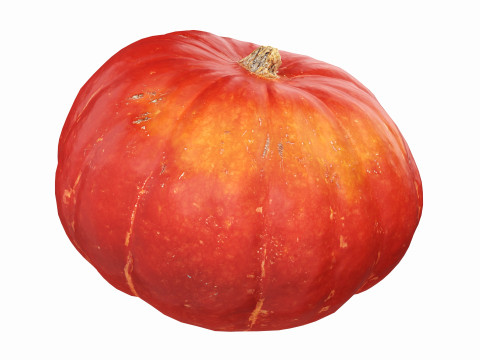 Red pumpkin Modello 3D
