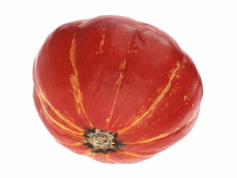 Red pumpkin Modello 3D