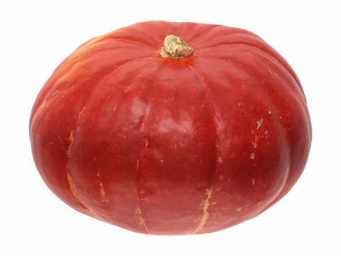 Red pumpkin Modello 3D