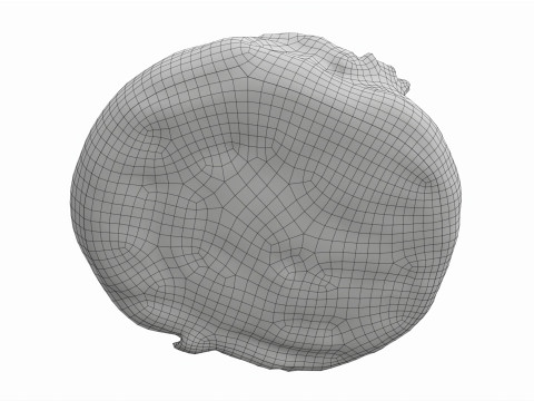 Roll with caramel and nuts Model 3D