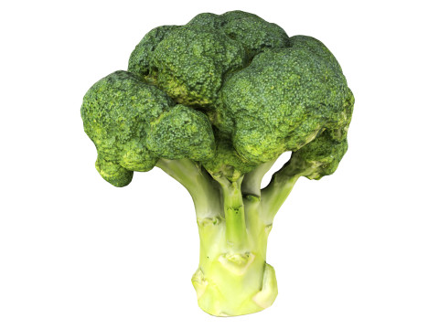 Broccoli Modello 3D