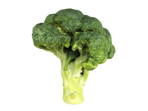 Broccoli 3D Model