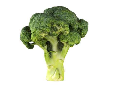 Broccoli 3D Model
