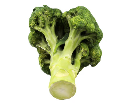 Broccoli 3D Model