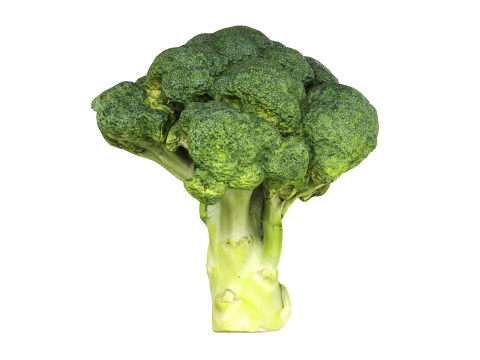 Broccoli 3D Model