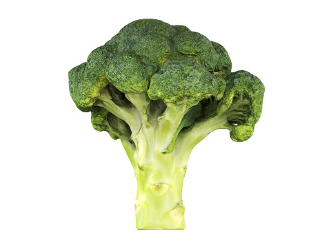 Broccoli 3Dモデル