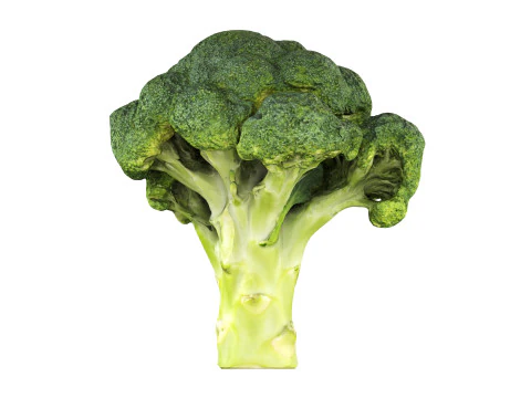 Broccoli 3D Model