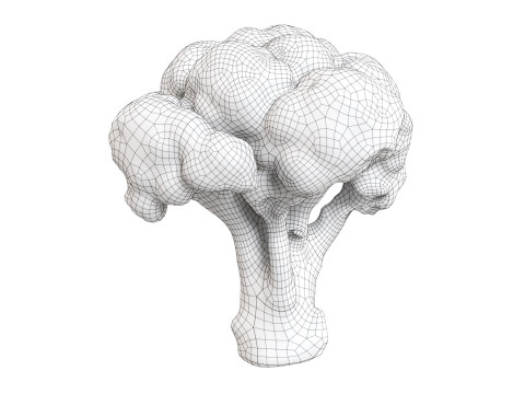 Broccoli 3Dモデル