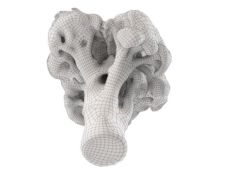 Broccoli 3Dモデル