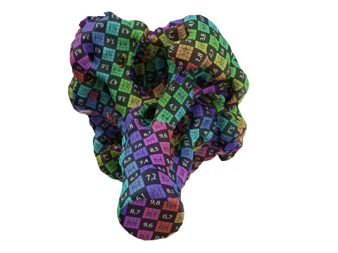 Broccoli 3Dモデル