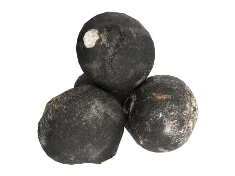 黒大根 3Dモデル