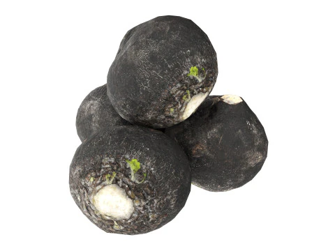 黒大根 3Dモデル