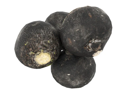 黒大根 3Dモデル