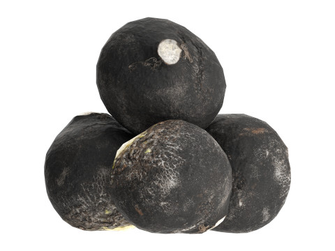 Black radish 3Dモデル