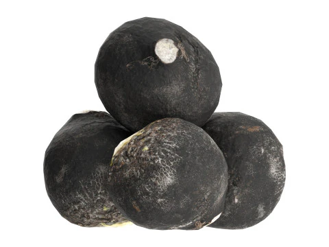 黒大根 3Dモデル