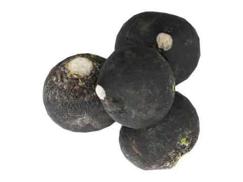 黒大根 3Dモデル