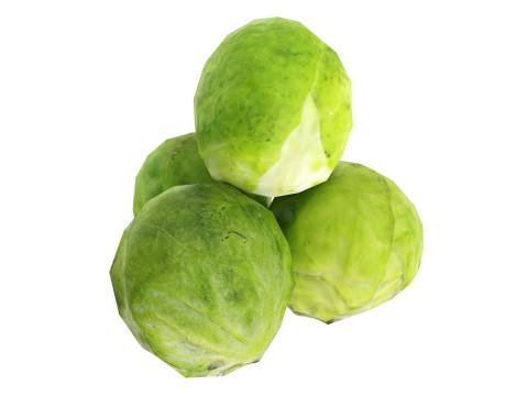 Brussels sprout Modelo 3D