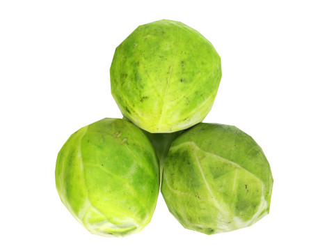 Brussels sprout 3Dモデル