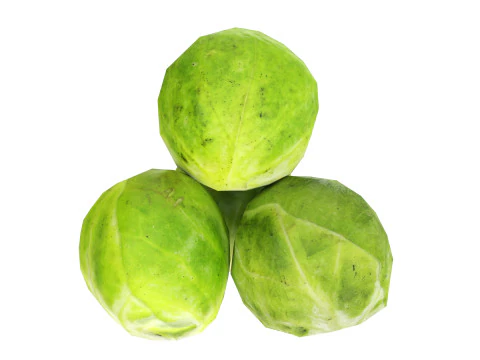 Брюссельская капуста 3D Модель