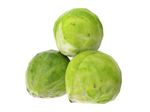 Брюссельская капуста 3D Модель