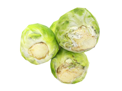 Brussels sprout 3Dモデル