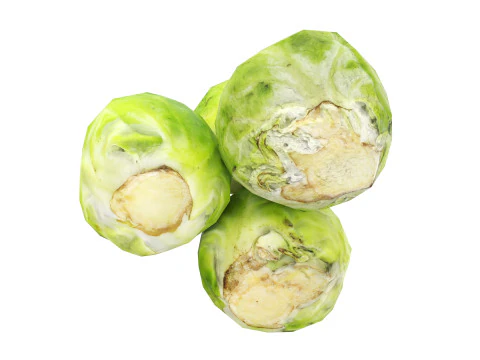 Брюссельская капуста 3D Модель