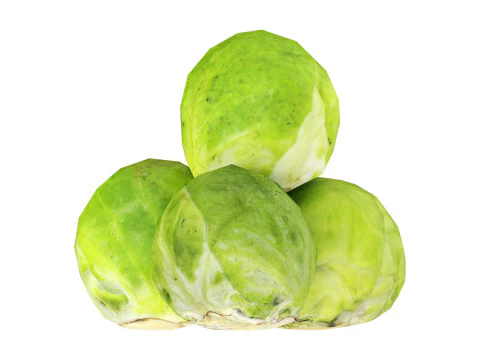 Брюссельская капуста 3D Модель